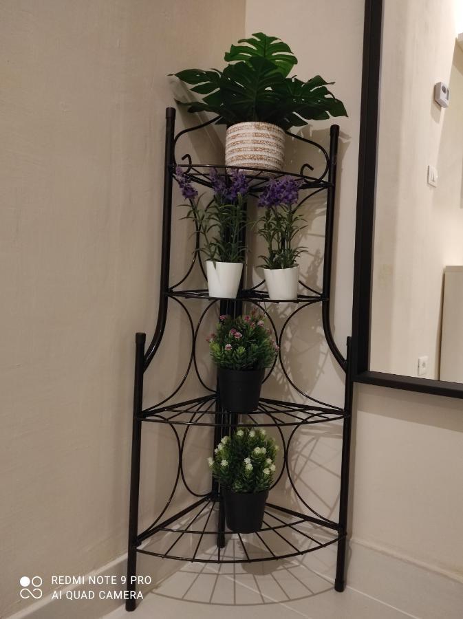 La Casa Dei Gelsomini Apartment Alassio Bagian luar foto